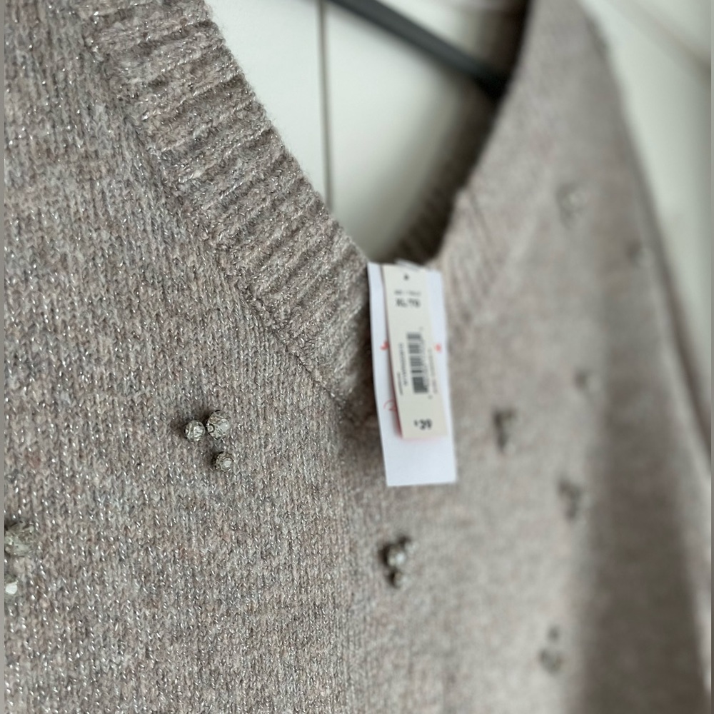 *NWT* Roxy Earle x Joe Fresh embellished oversized sweater